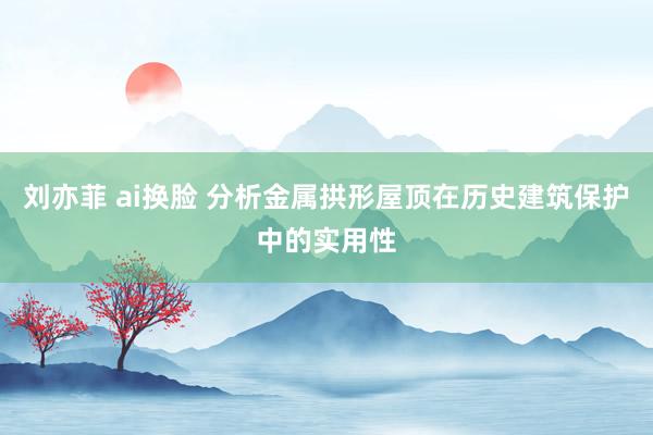 刘亦菲 ai换脸 分析金属拱形屋顶在历史建筑保护中的实用性