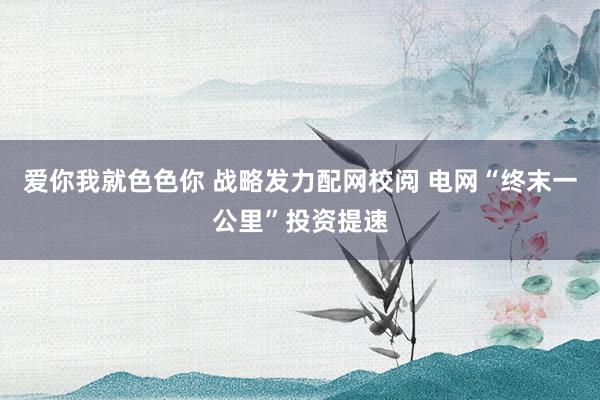 爱你我就色色你 战略发力配网校阅 电网“终末一公里”投资提速