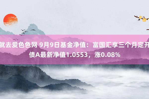 就去爱色色网 9月9日基金净值：富国汇享三个月定开债A最新净值1.0553，涨0.08%