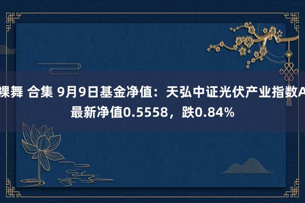 裸舞 合集 9月9日基金净值：天弘中证光伏产业指数A最新净值0.5558，跌0.84%