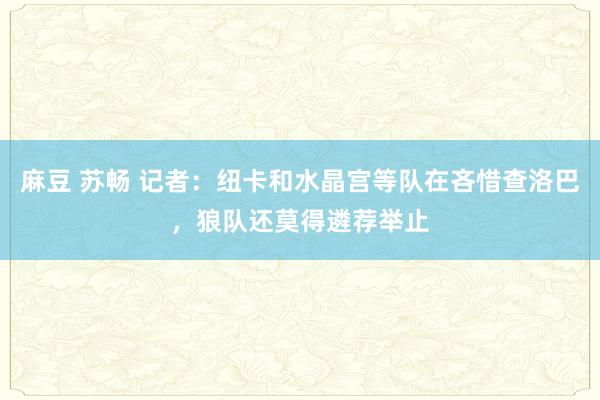 麻豆 苏畅 记者：纽卡和水晶宫等队在吝惜查洛巴，狼队还莫得遴荐举止