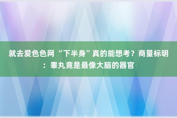 就去爱色色网 “下半身”真的能想考？商量标明：睾丸竟是最像大脑的器官