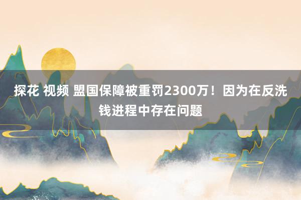 探花 视频 盟国保障被重罚2300万！因为在反洗钱进程中存在问题