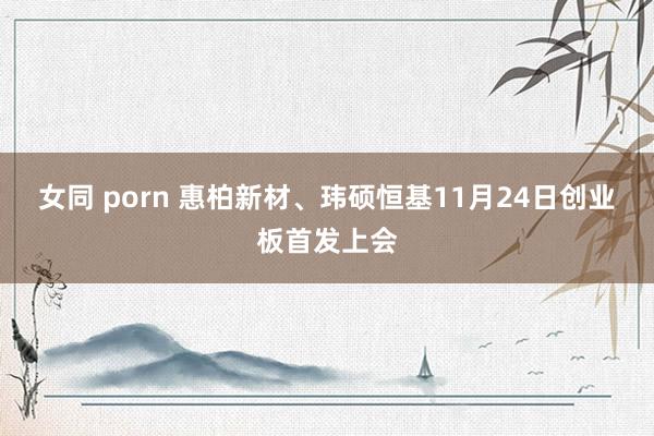 女同 porn 惠柏新材、玮硕恒基11月24日创业板首发上会