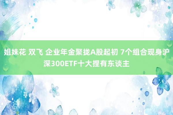 姐妹花 双飞 企业年金聚拢A股起初 7个组合现身沪深300ETF十大捏有东谈主