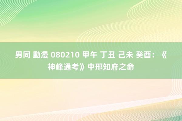 男同 動漫 080210 甲午 丁丑 己未 癸酉：《神峰通考》中邢知府之命