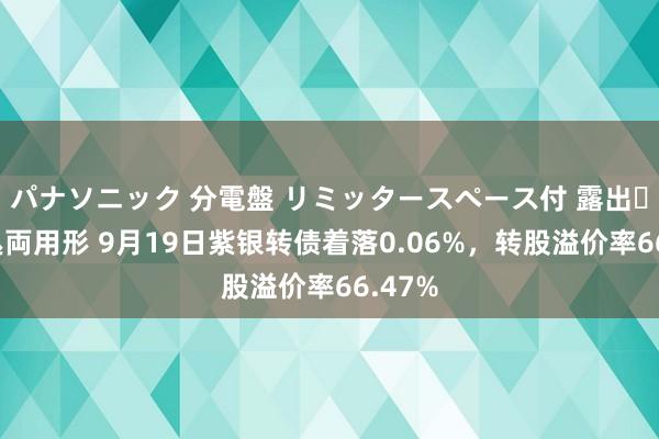 パナソニック 分電盤 リミッタースペース付 露出・半埋込両用形 9月19日紫银转债着落0.06%，转股溢价率66.47%