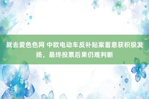 就去爱色色网 中欧电动车反补贴案蓄意获积极发扬，最终投票后果仍难判断