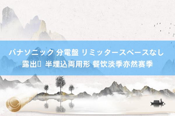 パナソニック 分電盤 リミッタースペースなし 露出・半埋込両用形 餐饮淡季亦然赛季