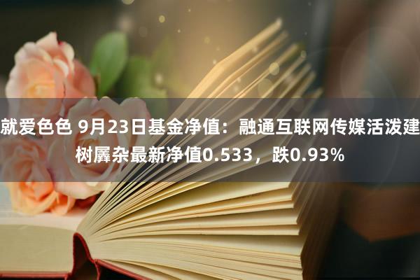 就爱色色 9月23日基金净值：融通互联网传媒活泼建树羼杂最新净值0.533，跌0.93%