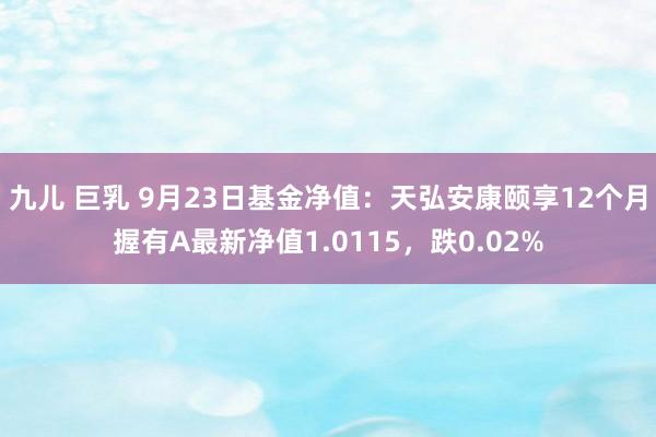 九儿 巨乳 9月23日基金净值：天弘安康颐享12个月握有A最新净值1.0115，跌0.02%