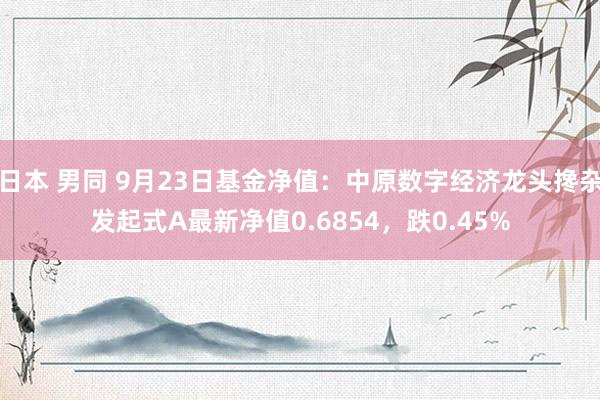 日本 男同 9月23日基金净值：中原数字经济龙头搀杂发起式A最新净值0.6854，跌0.45%