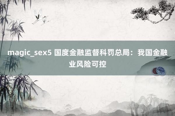 magic_sex5 国度金融监督科罚总局：我国金融业风险可控