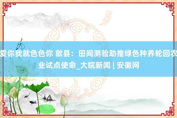 爱你我就色色你 歙县：田间测验助推绿色种养轮回农业试点使命_大皖新闻 | 安徽网