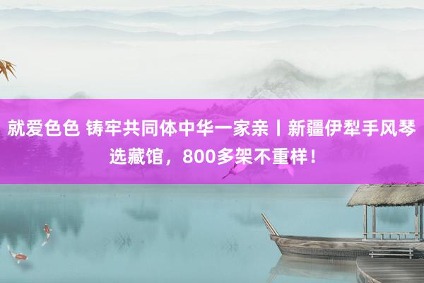 就爱色色 铸牢共同体中华一家亲丨新疆伊犁手风琴选藏馆，800多架不重样！