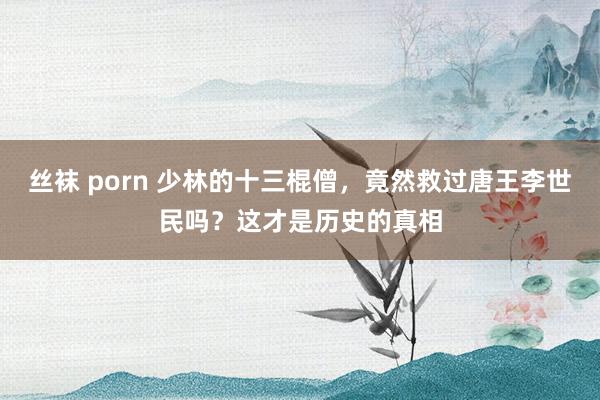 丝袜 porn 少林的十三棍僧，竟然救过唐王李世民吗？这才是历史的真相