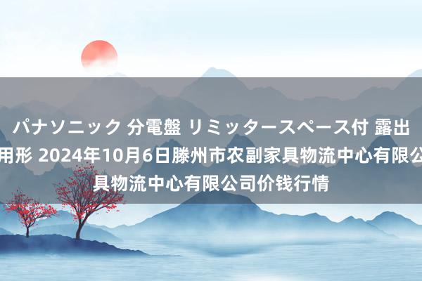 パナソニック 分電盤 リミッタースペース付 露出・半埋込両用形 2024年10月6日滕州市农副家具物流中心有限公司价钱行情