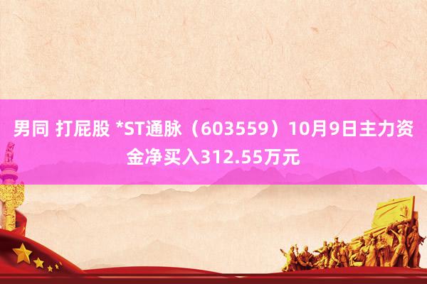 男同 打屁股 *ST通脉（603559）10月9日主力资金净买入312.55万元