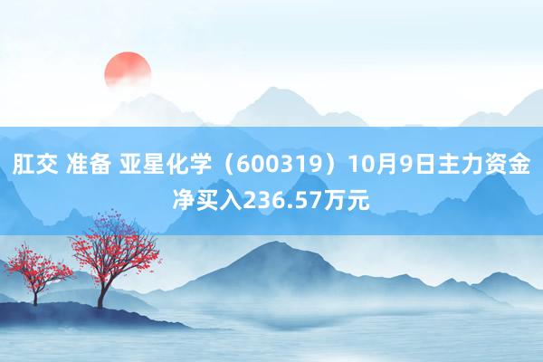 肛交 准备 亚星化学（600319）10月9日主力资金净买入236.57万元