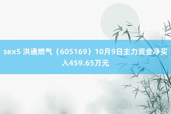 sex5 洪通燃气（605169）10月9日主力资金净买入459.65万元