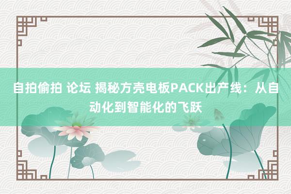 自拍偷拍 论坛 揭秘方壳电板PACK出产线：从自动化到智能化的飞跃