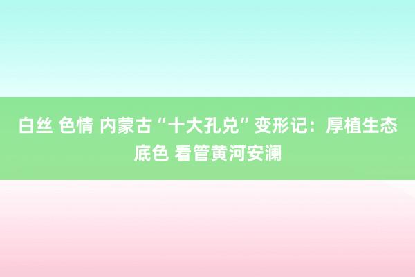 白丝 色情 内蒙古“十大孔兑”变形记：厚植生态底色 看管黄河安澜