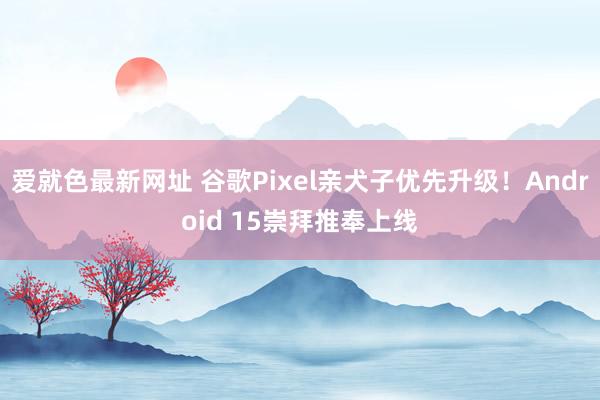 爱就色最新网址 谷歌Pixel亲犬子优先升级！Android 15崇拜推奉上线