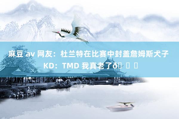 麻豆 av 网友：杜兰特在比赛中封盖詹姆斯犬子  KD：TMD 我真老了😅