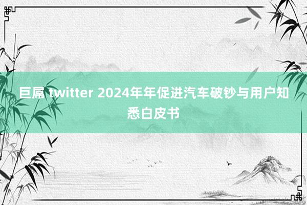 巨屌 twitter 2024年年促进汽车破钞与用户知悉白皮书