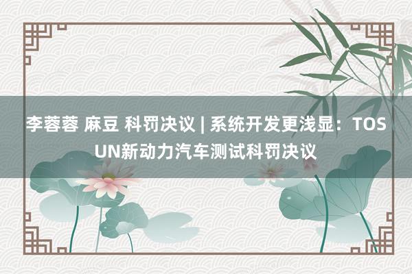 李蓉蓉 麻豆 科罚决议 | 系统开发更浅显：TOSUN新动力汽车测试科罚决议