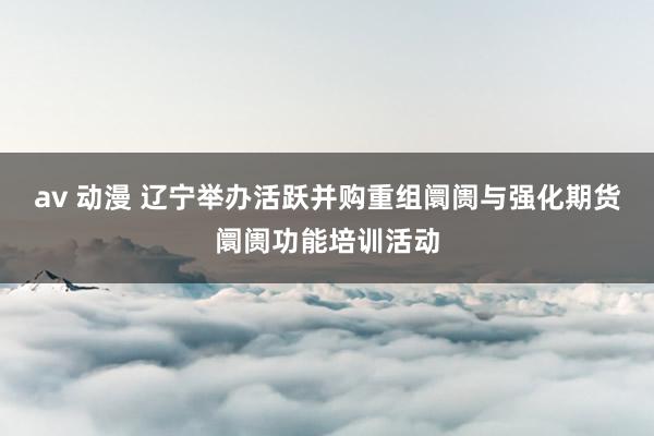 av 动漫 辽宁举办活跃并购重组阛阓与强化期货阛阓功能培训活动