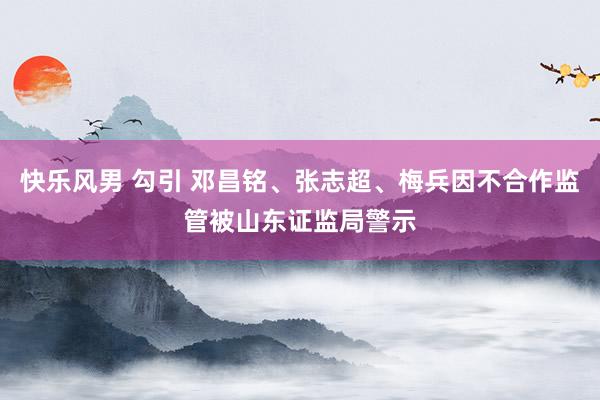 快乐风男 勾引 邓昌铭、张志超、梅兵因不合作监管被山东证监局警示