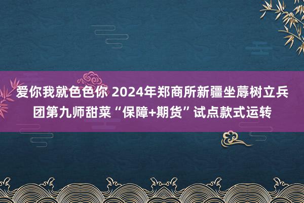 爱你我就色色你 2024年郑商所新疆坐蓐树立兵团第九师甜菜“保障+期货”试点款式运转