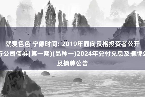 就爱色色 宁德时间: 2019年面向及格投资者公开刊行公司债券(第一期)(品种一)2024年兑付兑息及摘牌公告