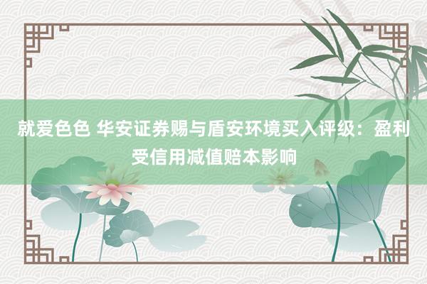 就爱色色 华安证券赐与盾安环境买入评级：盈利受信用减值赔本影响