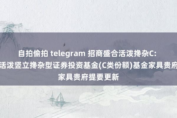 自拍偷拍 telegram 招商盛合活泼搀杂C: 招商盛合活泼竖立搀杂型证券投资基金(C类份额)基金家具贵府提要更新