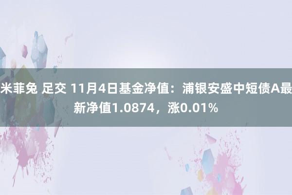 米菲兔 足交 11月4日基金净值：浦银安盛中短债A最新净值1.0874，涨0.01%