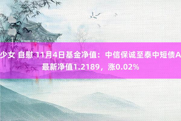 少女 自慰 11月4日基金净值：中信保诚至泰中短债A最新净值1.2189，涨0.02%