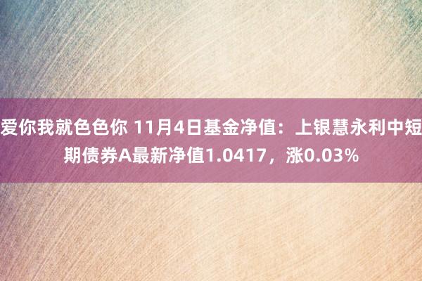 爱你我就色色你 11月4日基金净值：上银慧永利中短期债券A最新净值1.0417，涨0.03%