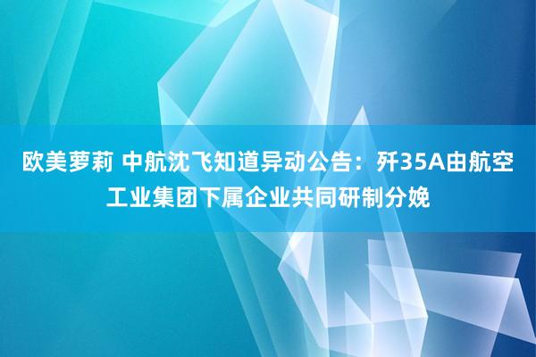 欧美萝莉 中航沈飞知道异动公告：歼35A由航空工业集团下属企业共同研制分娩