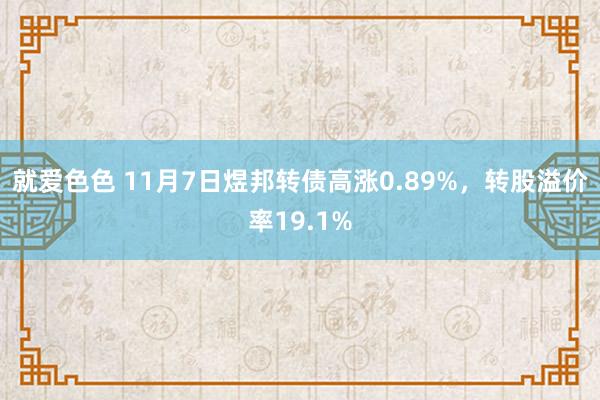 就爱色色 11月7日煜邦转债高涨0.89%，转股溢价率19.1%