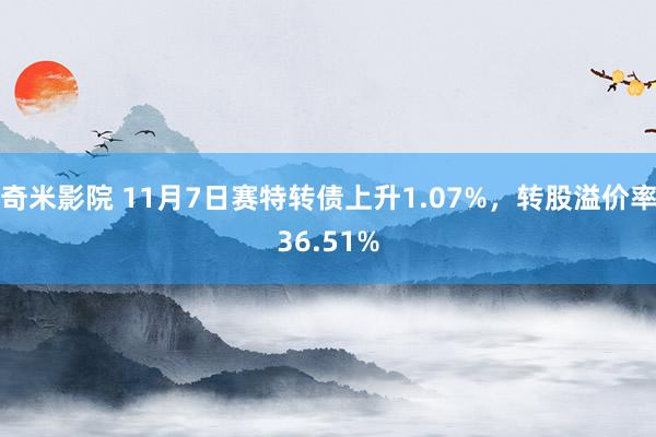 奇米影院 11月7日赛特转债上升1.07%，转股溢价率36.51%