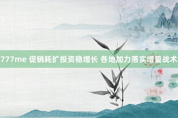 777me 促销耗扩投资稳增长 各地加力落实增量战术