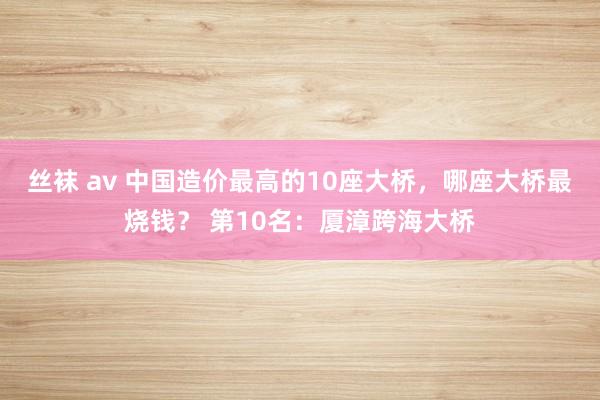 丝袜 av 中国造价最高的10座大桥，哪座大桥最烧钱？ 第10名：厦漳跨海大桥