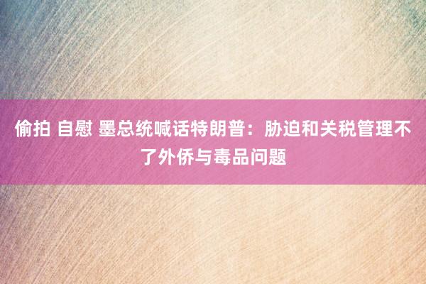 偷拍 自慰 墨总统喊话特朗普：胁迫和关税管理不了外侨与毒品问题