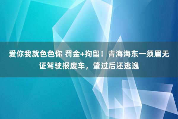 爱你我就色色你 罚金+拘留！青海海东一须眉无证驾驶报废车，肇过后还逃逸