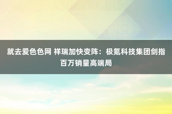 就去爱色色网 祥瑞加快变阵：极氪科技集团剑指百万销量高端局