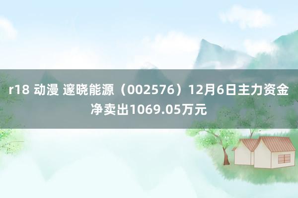 r18 动漫 邃晓能源（002576）12月6日主力资金净卖出1069.05万元