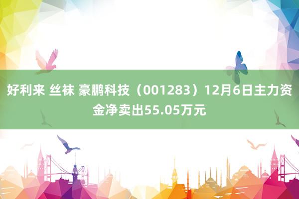 好利来 丝袜 豪鹏科技（001283）12月6日主力资金净卖出55.05万元