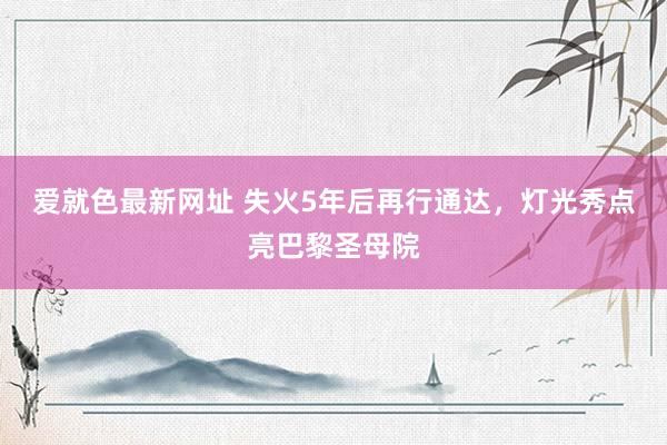 爱就色最新网址 失火5年后再行通达，灯光秀点亮巴黎圣母院